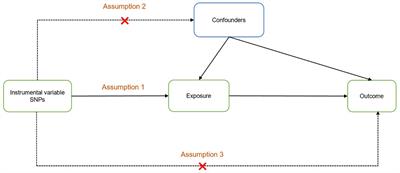 Causality between multiple autoimmune disorders and migraine and its subtypes: a two-sample Mendelian randomization study